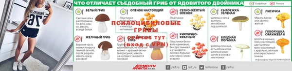 Альфа ПВП Белокуриха