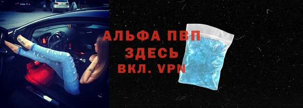 Альфа ПВП Белокуриха