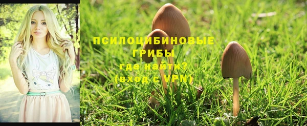 дурь Белоозёрский
