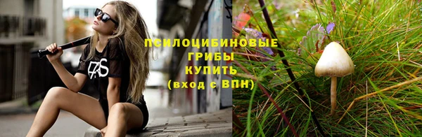 дурь Белоозёрский