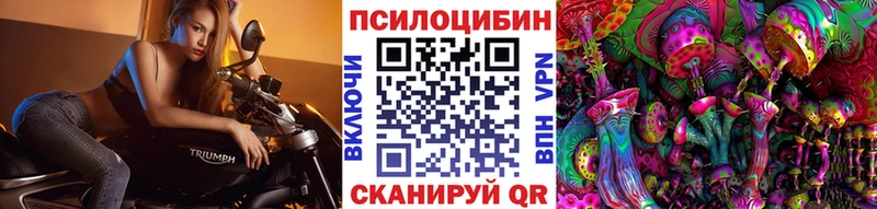 цены наркотик  Болохово  Псилоцибиновые грибы GOLDEN TEACHER 